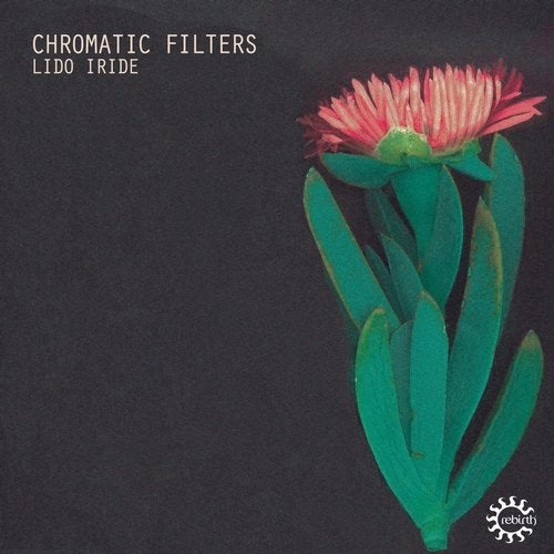 image cover: Chromatic Filters - Lido Iride / REB121