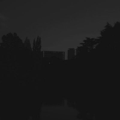 03 2020 346 0915873 Deadbeat, Maarten Vos - 2020 / BLKRTZ