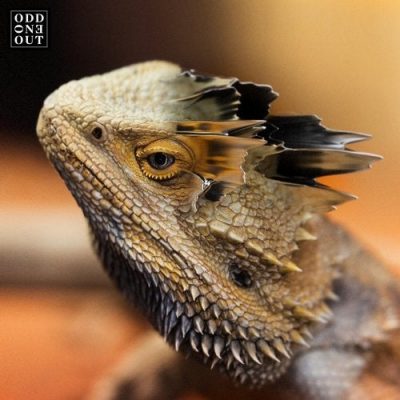 03 2020 346 09166913 Yotto - Amaru / Odd One Out