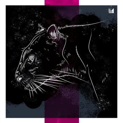 03 2020 346 09169201 Jonas Saalbach - Second Surface / EINMUSIKA167