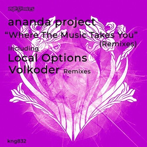 image cover: Ananda Project - Where The Music Takes You (Remixes) / Nite Grooves