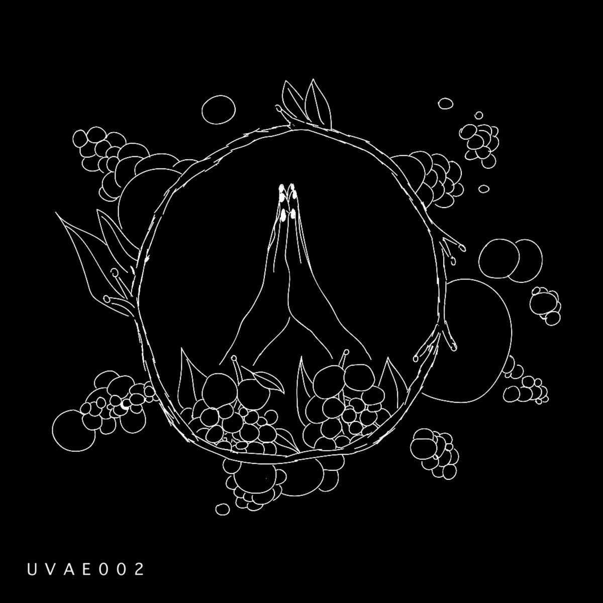 image cover: Unknown Artists - Muscular EP / UVAE002