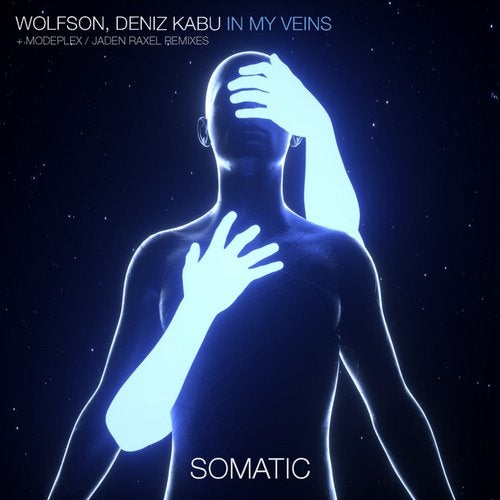 image cover: Wolfson, Deniz Kabu, Modeplex, Jaden Raxel - In My Veins / SMTC037