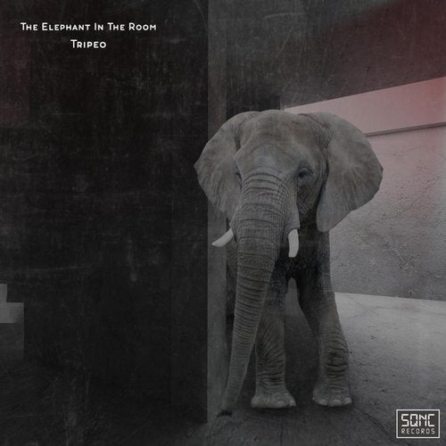 image cover: Tripeo - The Elephant in the Room / SQNC003