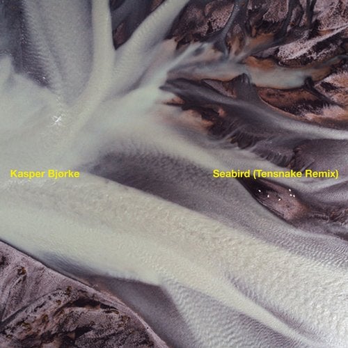 Download Seabird (Tensnake Remix) on Electrobuzz