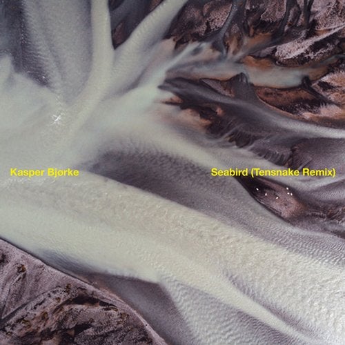 image cover: Tensnake, Kasper Bjørke, Christian d'Or, Toby Ernest - Seabird (Tensnake Remix) / HFN113BP