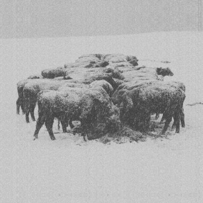 04 2020 346 09149126 Bvdub - Ten Times the World Lied / Glacial Movements