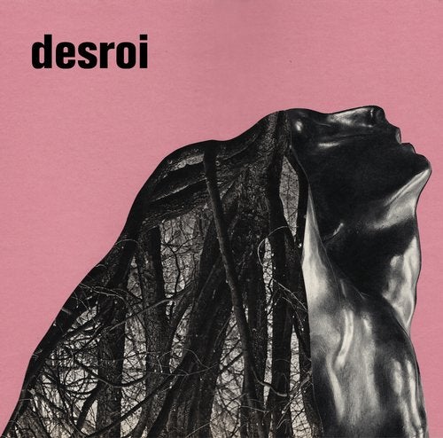 image cover: Desroi - Vermillion Border / DESROI004