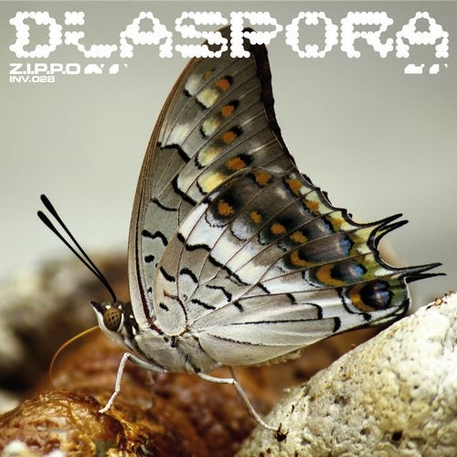 Download Diaspora on Electrobuzz
