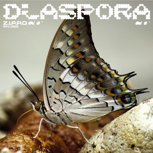 image cover: Z.I.P.P.O - Diaspora / INV028