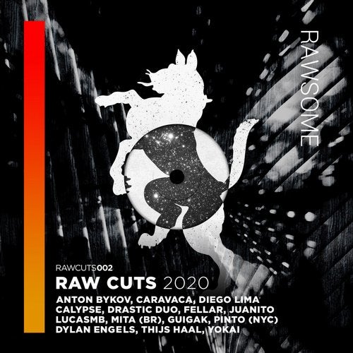 image cover: VA - RAW CUTS 2020 / RAWCUTS002