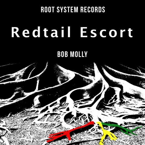 image cover: aka Bob Molly - Redtail Escort / RSR0047