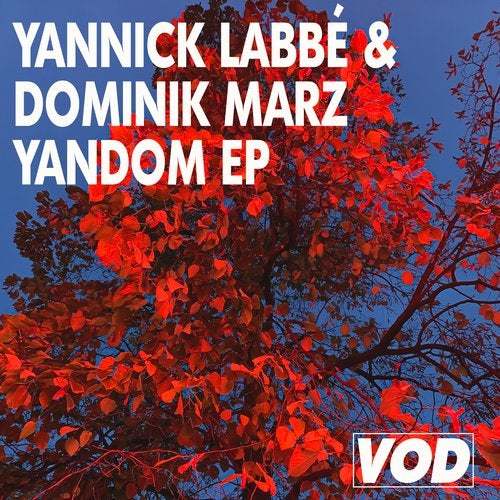 image cover: Yannick Labbe, Dominik Marz - Yandom EP / VOD004