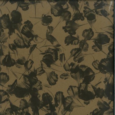 05 2020 346 091105794 Ada Kaleh - Dene Descris (Reinterpretări) / AK005c