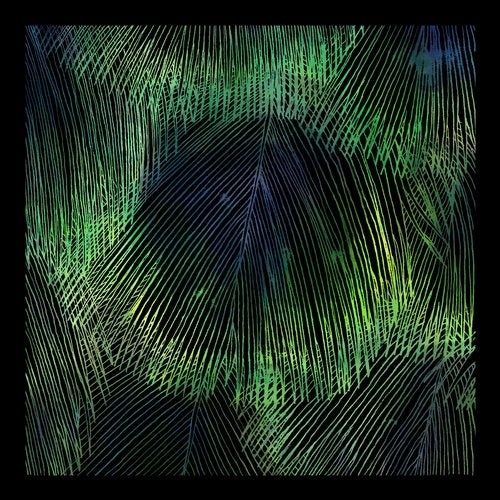 image cover: Matthias Meyer, Ryan Davis - Crying Juno / Cafuné / WGVINYL070