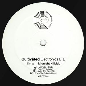 Download Midnight Hillside on Electrobuzz