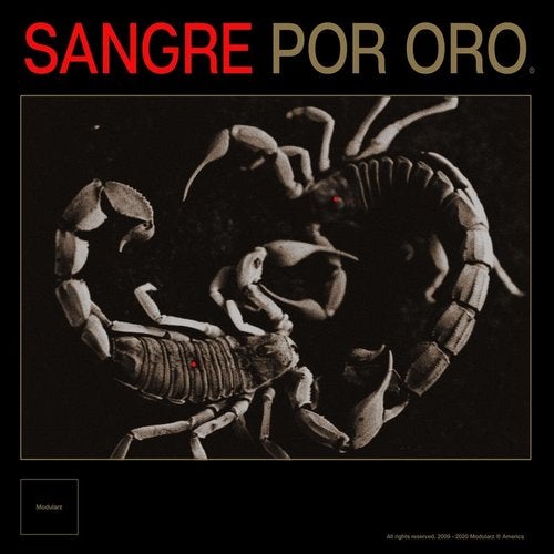 image cover: Developer - Sangre Por Oro / MOD046