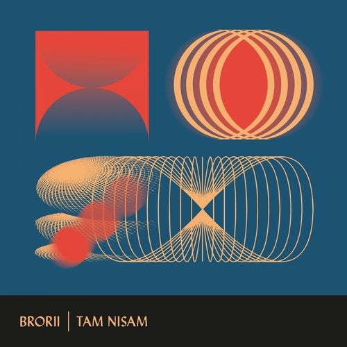 image cover: Tam Nisam, DJ Lily, DJ Lily - BROR11 / BROR11