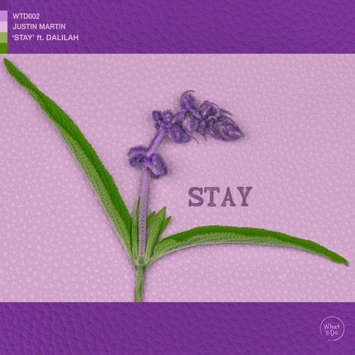 image cover: Justin Martin, Dalilah - Stay (feat. Dalilah) / WTD002B