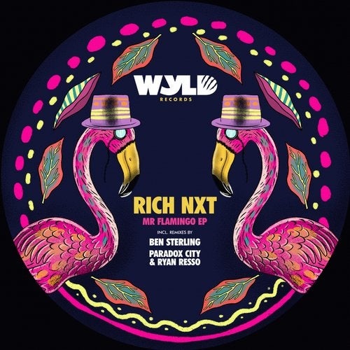 image cover: Rich NXT - Mr Flamingo / WYL001B