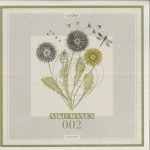 05 2020 346 104458 Niko Maxen - MAXEN02 / MAXEN02