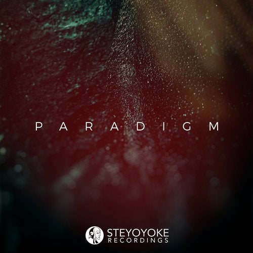 Download VA - Steyoyoke Paradigm, Vol. 7 on Electrobuzz