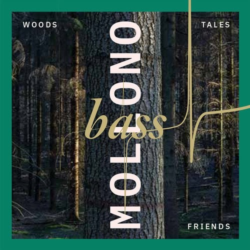 image cover: Mollono.Bass, i AM HALO, Kuoko, Marc Vogler, Jorg Schwenzer, jPattersson - Woods, Tales & Friends / 3000GRADCD018D