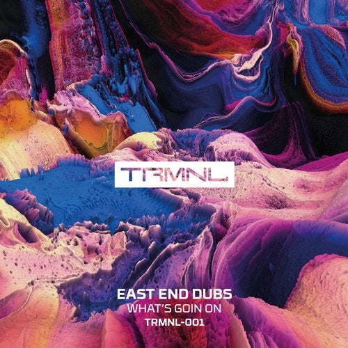 image cover: East End Dubs - WHAT'S GOIN ON / TRMNL001