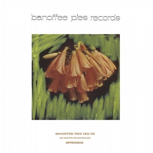 Download VA - Banoffee Pies Digi 08 on Electrobuzz