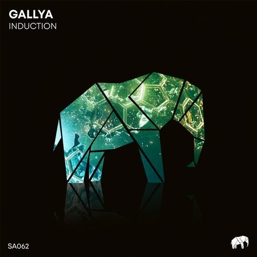 image cover: Gallya - Induction / SA062