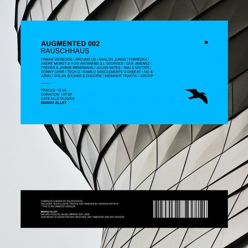 image cover: VA - Augmented 002 / Rauschhaus / ALLEYAUG002