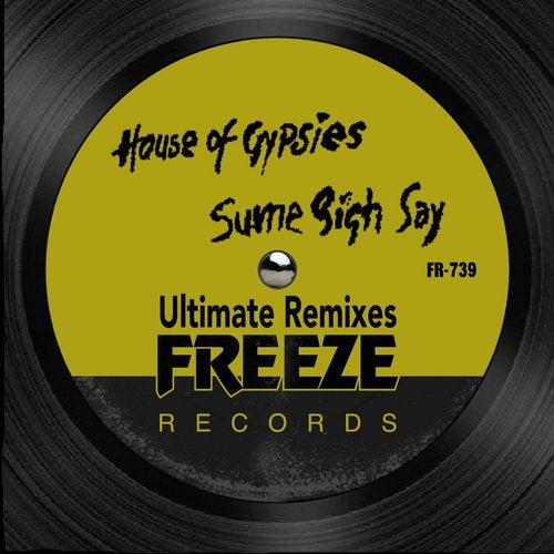 image cover: Todd Terry, House Of Gypsies - Sume Sigh Say (Ultimate Remixes) / FR739