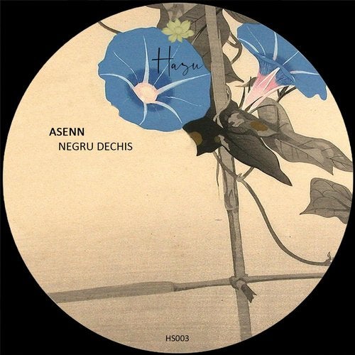 image cover: Asenn - Negru Dechis / HS003