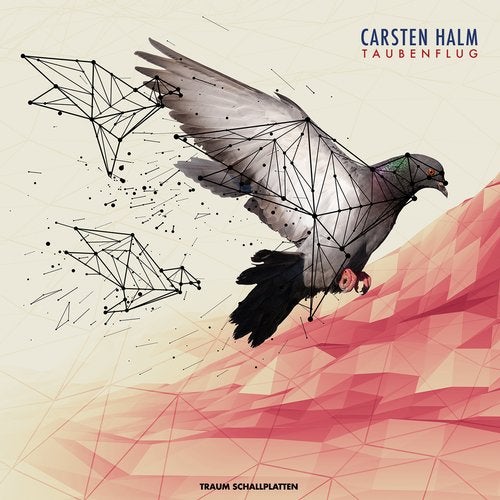 Download Carsten Halm, Nils Hoffmann - Taubenflug on Electrobuzz