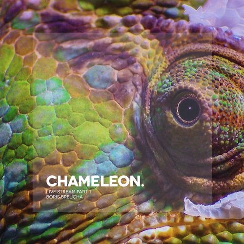 image cover: Boris Brejcha - Chameleon - Live Stream Part 1 / UL01818