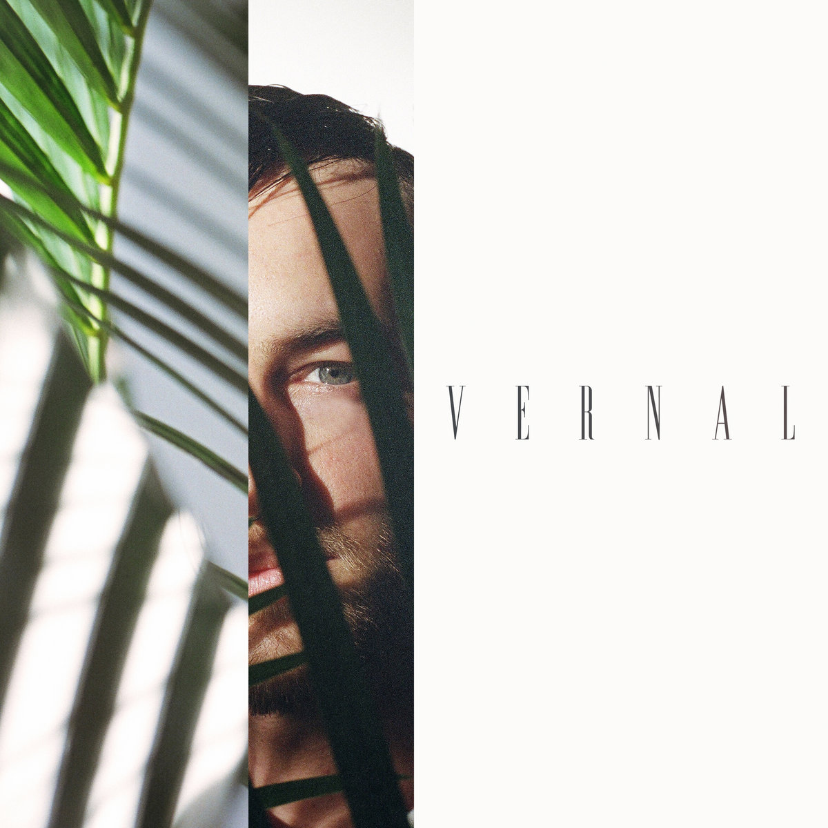 image cover: Past Palms - Vernal EP