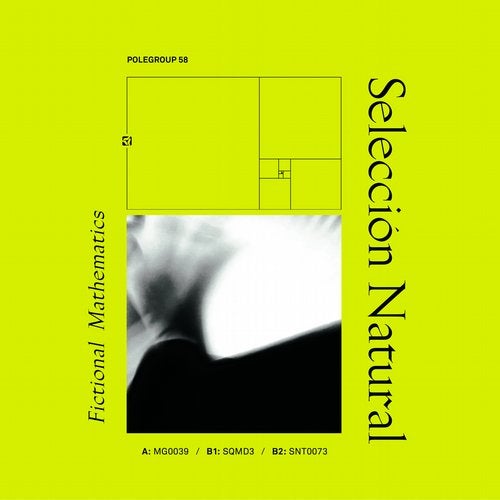 image cover: Seleccion Natural - Fictional Mathematics EP / POLEGROUP58