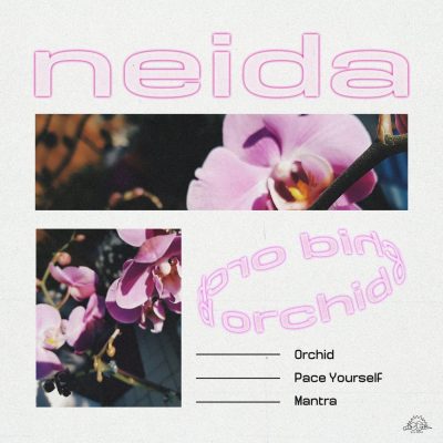 07 2020 346 091565538 Neida - Orchid