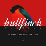 07 2020 346 28321 VA - Bullfinch Summer 2020 Compilation / BF291