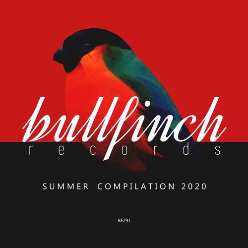 image cover: VA - Bullfinch Summer 2020 Compilation / BF291