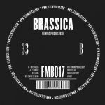07 2020 346 33198 Brassica - Crystal Sea / FMB017