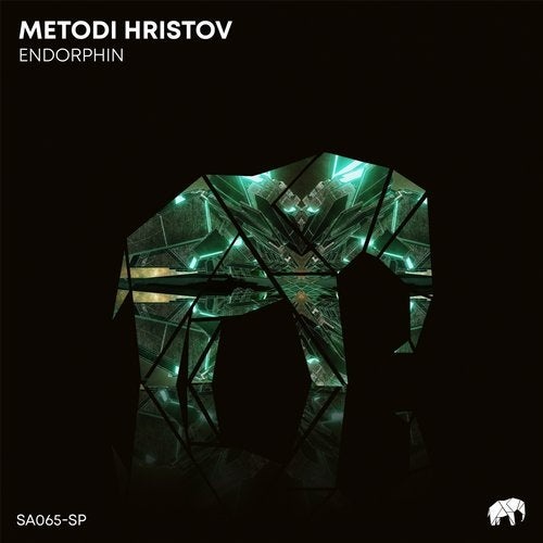 image cover: Metodi Hristov - Endorphin / SA065SP