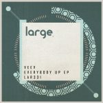 07 2020 346 46485 Veev - Everybody Up EP / LAR331
