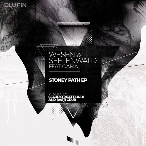 image cover: Markus Wesen, Seelenwald, Oama - Stoney Path EP / BF305