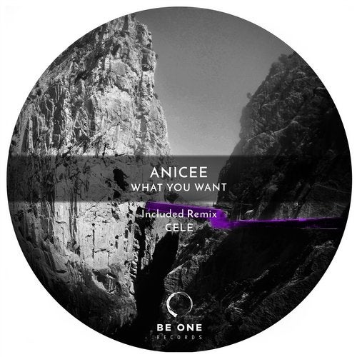 image cover: Anicée, Cele - What You Want / BOR328