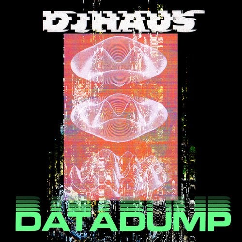 image cover: DJ Haus - Data Dump / UTTUDATADUMP1