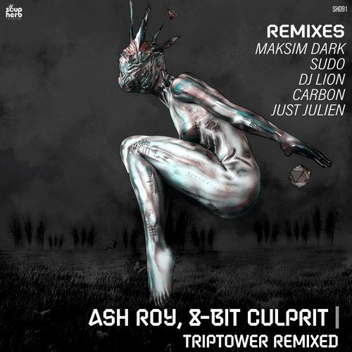 Download Ash Roy, 8-Bit Culprit - Triptower Remixed on Electrobuzz