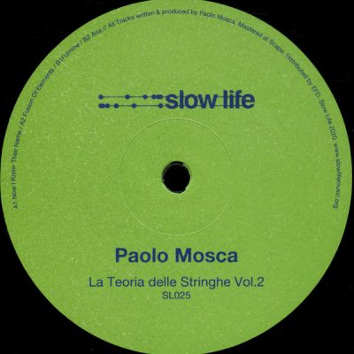 08 2020 346 114209 Paolo Mosca - La Teoria Delle Stringhe Vol. 2 / SL025
