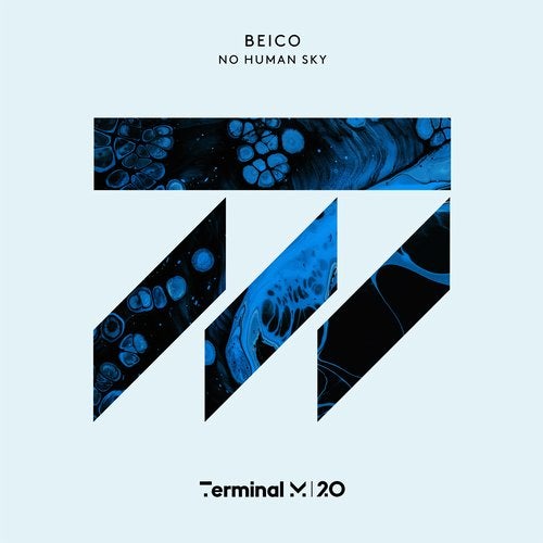 image cover: Beico - No Human Sky / TERM186