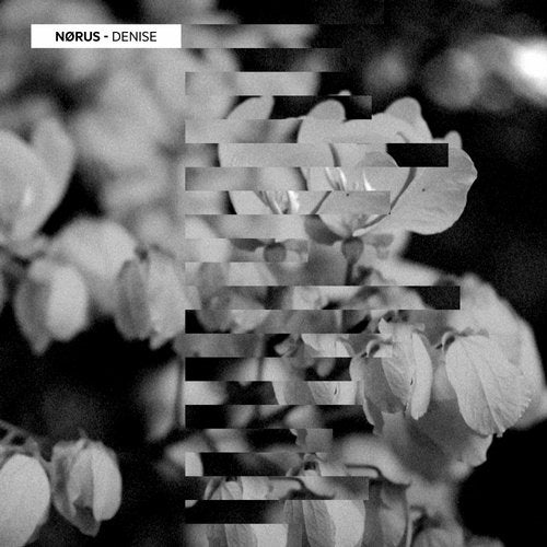 Download Nørus - Denise EP on Electrobuzz